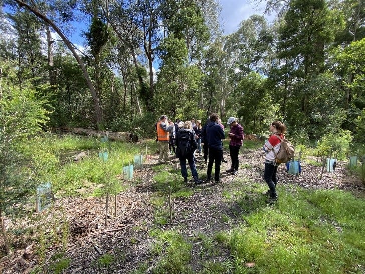 d7e4fb2ff4a935ec03ba2dca6d9e0dee?width=208